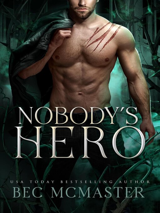 Nobodys Hero Sno Isle Libraries Overdrive 0651